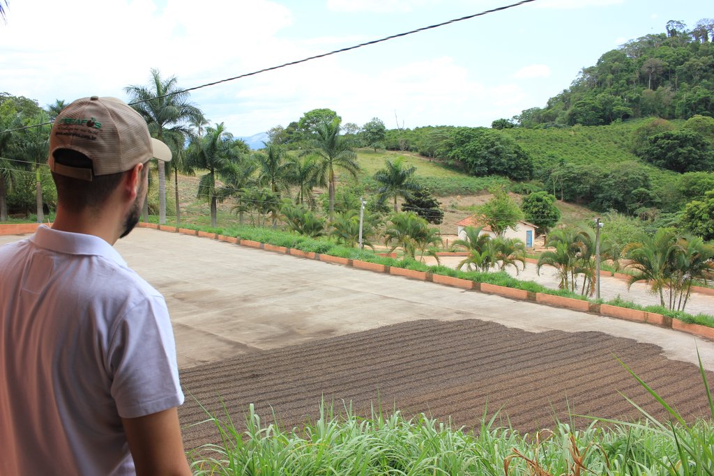 The impact of COVID-19 on the speciality coffee industry.