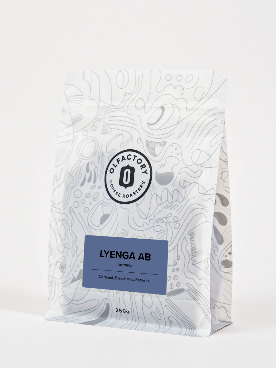 LYENGA AB
