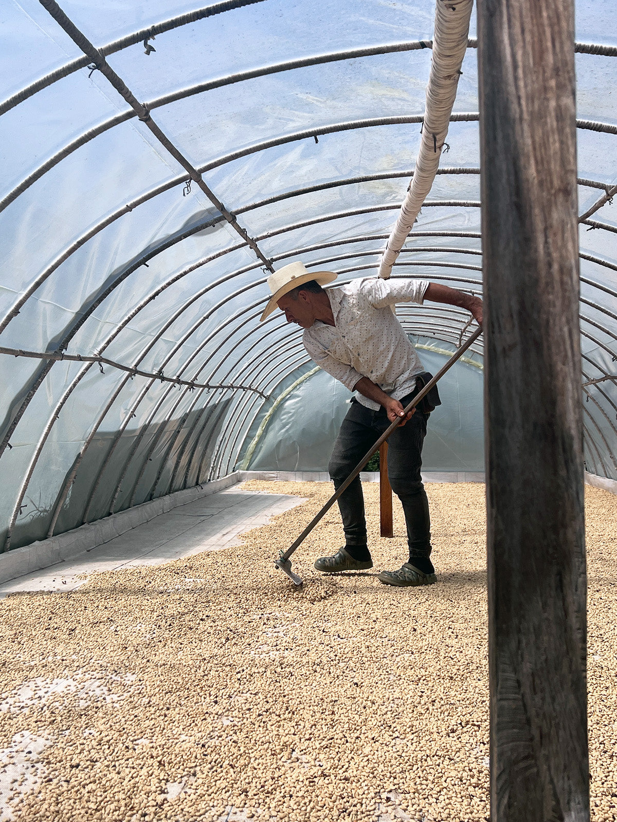 What Specialty Coffee Actually Means (And Why It Matters)