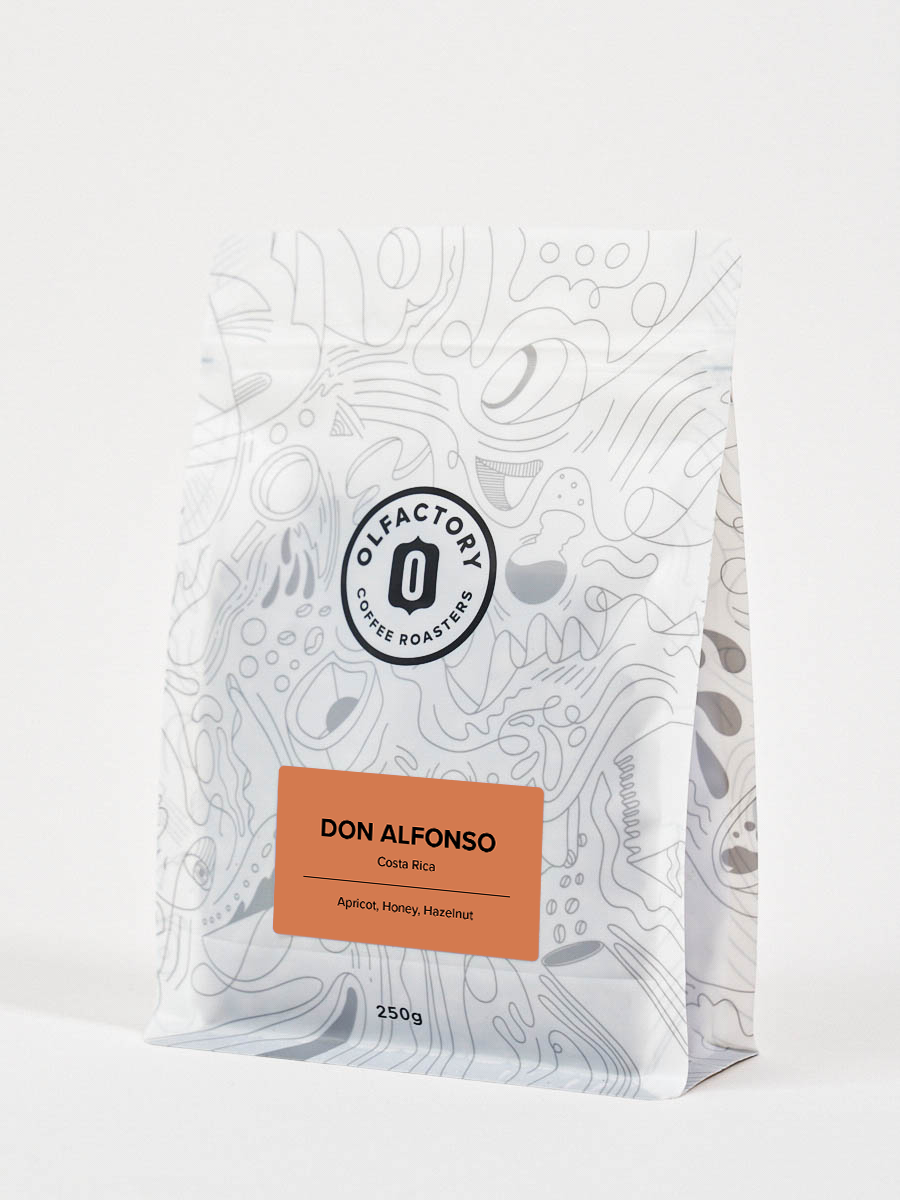DON ALFONSO