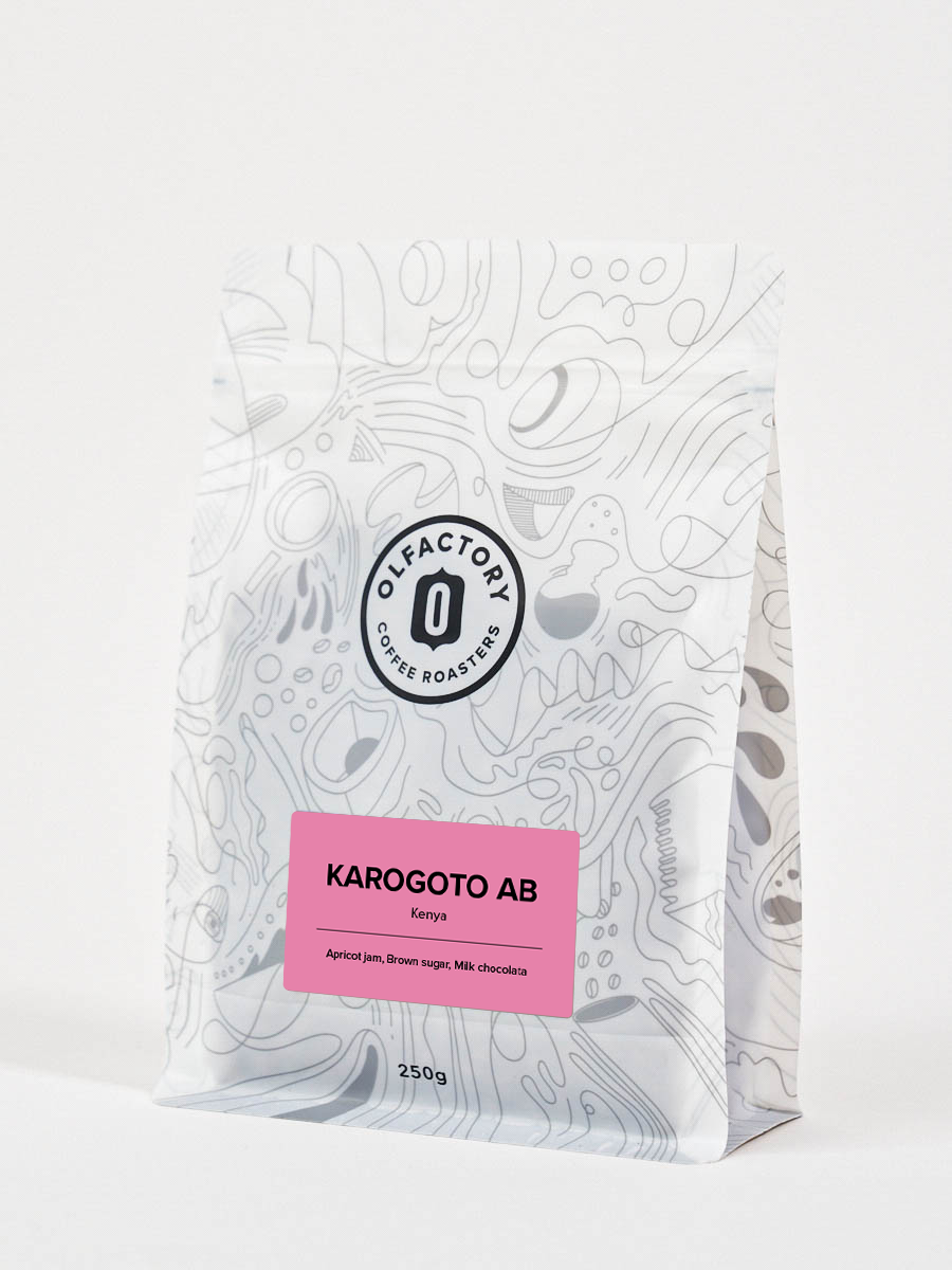 KAROGOTO AB
