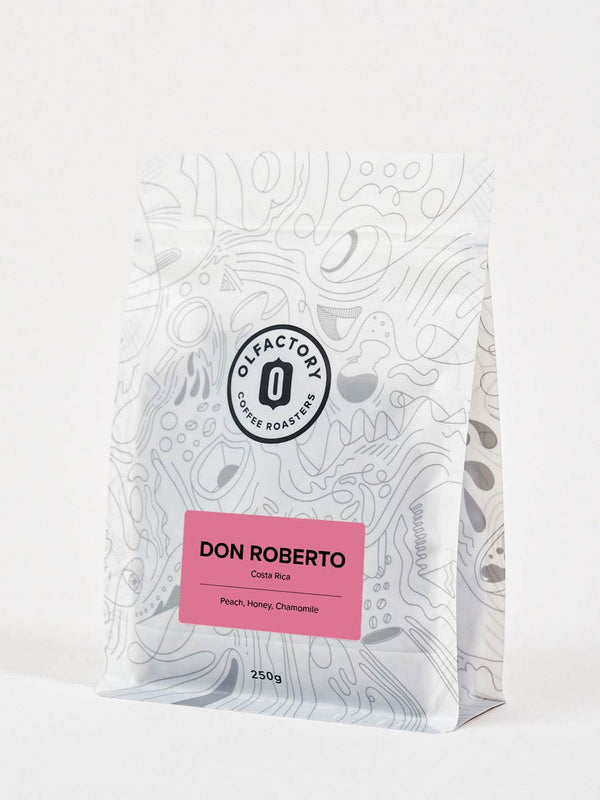 DON ROBERTO